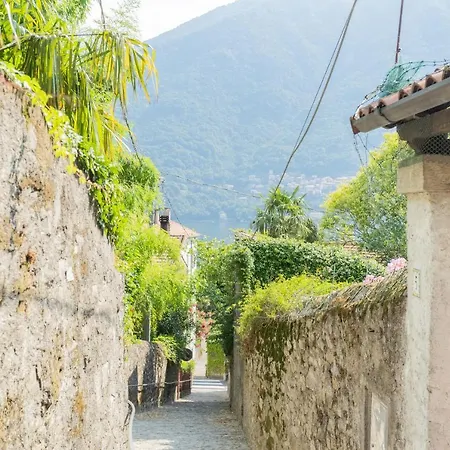 Lejlighed P Terrace - View By Rent *