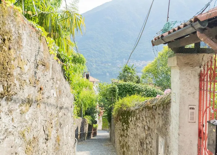 Daire P Terrace - View By Rent *